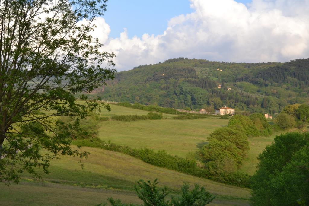 B&B Villa Il Poggiolino Molino del Piano Exterior photo